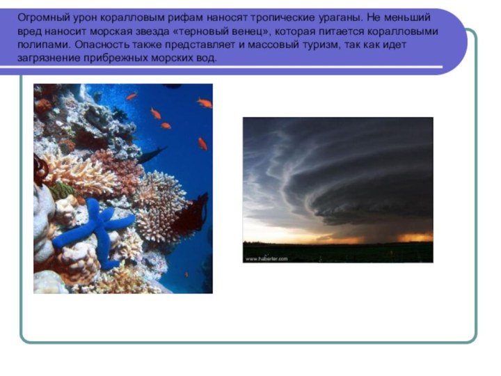 Огромный урон коралловым рифам наносят тропические ураганы. Не меньший вред наносит морская