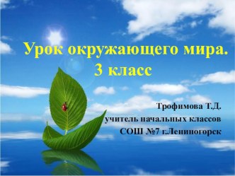 Презентация к уроку Вода - условие жизни на Земле. презентация к уроку по окружающему миру (3 класс)