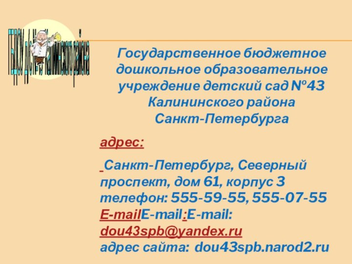 Государственное бюджетное дошкольное образовательное учреждение детский сад №43 Калининского района