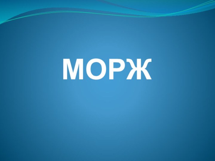 МОРЖ