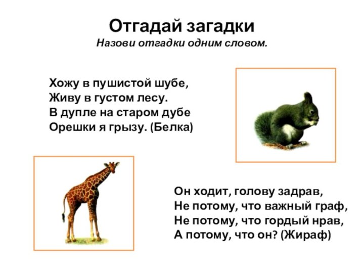 Отгадай загадки Назови отгадки одним словом. Он ходит, голову задрав, Не потому,