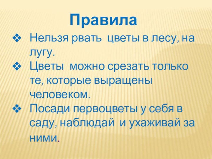 ПравилаНельзя рвать цветы в лесу, на лугу.