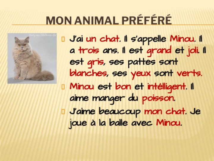 Mon animal préféréJ’ai un chat. Il s’appelle Minou. Il a trois ans.