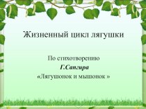 Презентация  Жизненный цикл лягушки. По стихотворению Г. Сапгира Лягушонок и мышонок презентация к занятию по окружающему миру (старшая группа)