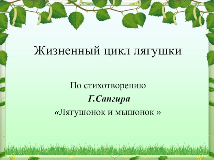 Жизненный цикл лягушкиПо стихотворению Г.Сапгира«Лягушонок и мышонок »