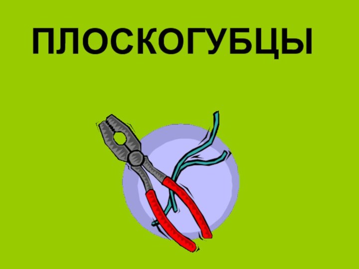 ПЛОСКОГУБЦЫ