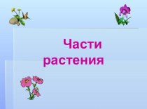 Презентация Части растений презентация к уроку по окружающему миру (подготовительная группа)