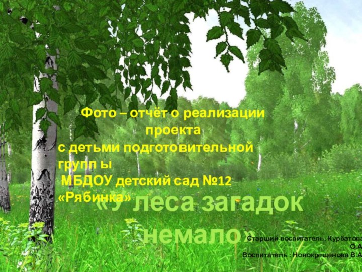 Лето по лесу ходило,«У леса загадок немало»Фото – отчёт о реализации проекта