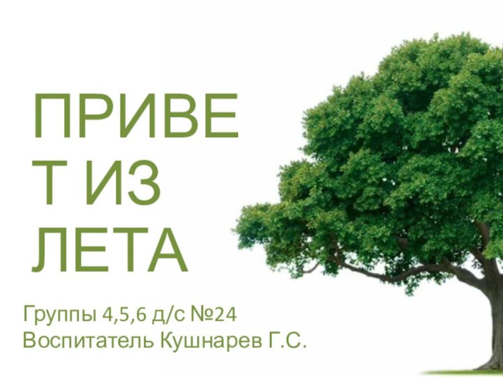 ЛЕТОПРИВЕТ ИЗ ЛЕТАГруппы 4,5,6 д/с №24Воспитатель Кушнарев Г.С.