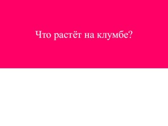 Классный час для 1 класса презентация к уроку по окружающему миру (1 класс)