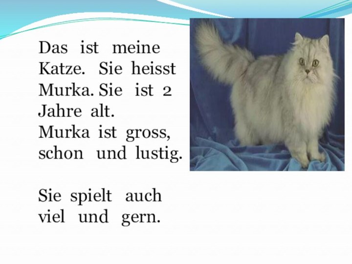 Das  ist  meine Katze.  Sie heisst Murka. Sie