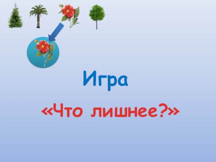 Игра«Что лишнее?»