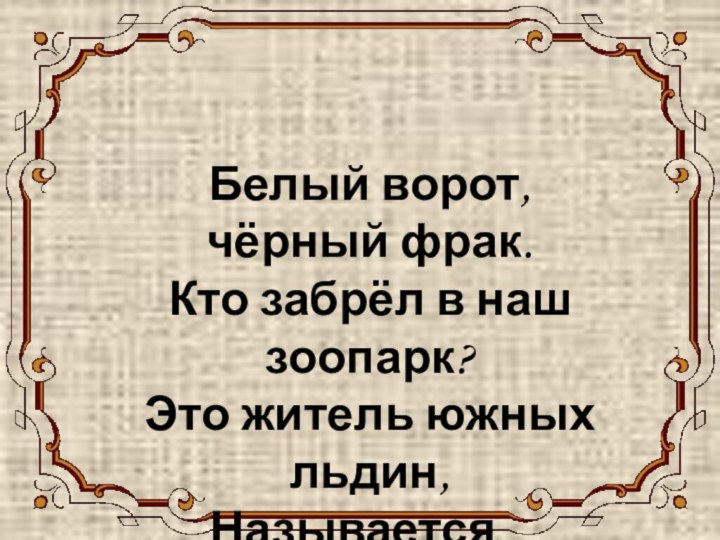 пингвин Белый ворот, чёрный фрак. Кто забрёл в наш зоопарк? Это житель южных льдин, Называется...