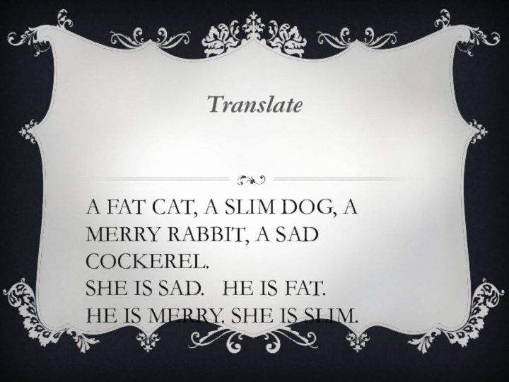 A fat cat, a slim dog, a merry rabbit, a sad cockerel.