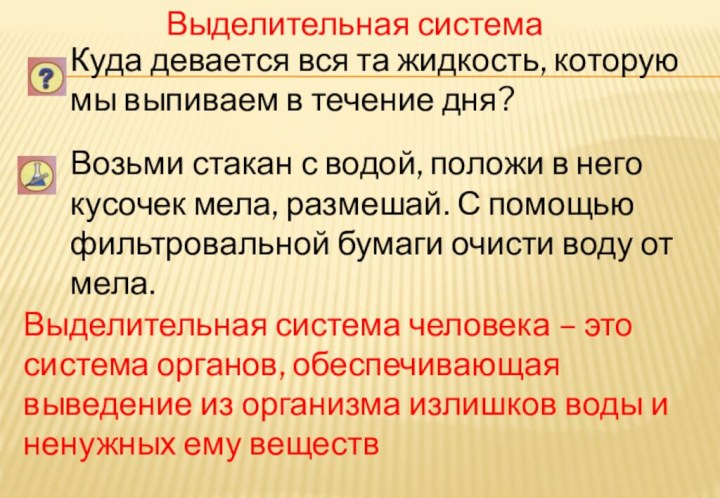 Выделительная системаКуда девается вся та жидкость, которую мы выпиваем в течение дня?Возьми