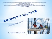 Экологический проект Птичья столовая проект (старшая группа)