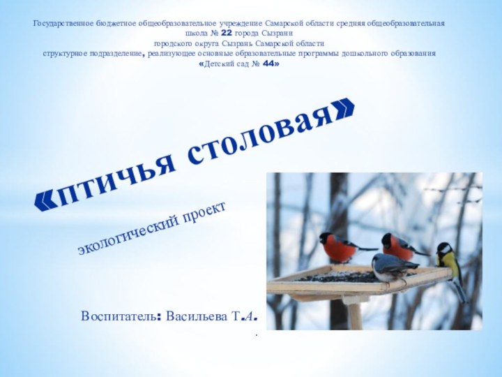 экологический проект«птичья столовая»Воспитатель: Васильева Т.А.      . Государственное