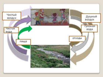 Тема урока: Живые участники круговорота веществ план-конспект урока по окружающему миру