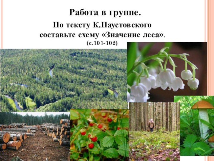 Работа в группе.По тексту К.Паустовского составьте схему «Значение леса».(с.101-102)