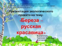 Береза - русская красавица проект по окружающему миру (старшая группа)