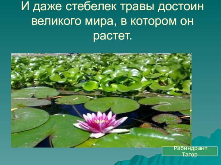 И даже стебелек травы достоин великого мира, в котором он растет. Рабиндрант Тагор