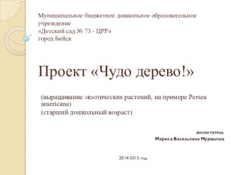 Презентация по долгосрочному экологическому проекту Чудо-дерево в старшей группе. презентация к уроку (старшая группа) по теме