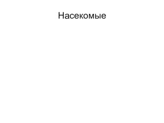 Презентация Насекомые. Часть 2 презентация к уроку по окружающему миру (младшая группа)