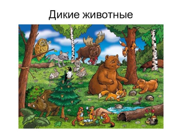 Дикие животные