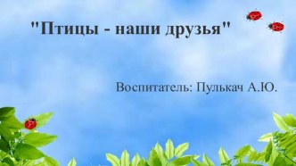 Птицы - наши друзья презентация к уроку по окружающему миру (старшая группа)