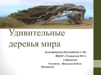 Презентация удивительные деревья мира презентация к уроку по окружающему миру (2 класс)