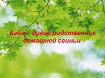 Презентация к занятию по внеурочной деятельности Земля - наш общий дом (1 класс), Кабан - дикий родственник домашней свиньи презентация к уроку (1 класс) по теме