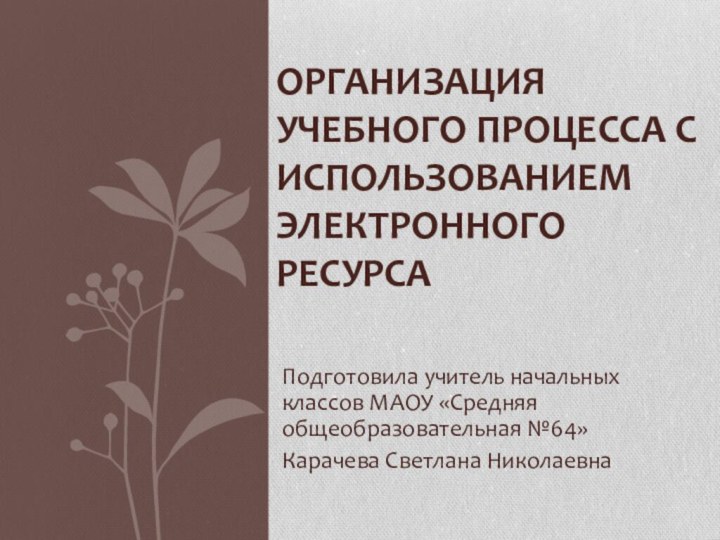 Организация учебного процесса с использованием электронного ресурса Подготовила учитель начальных классов МАОУ