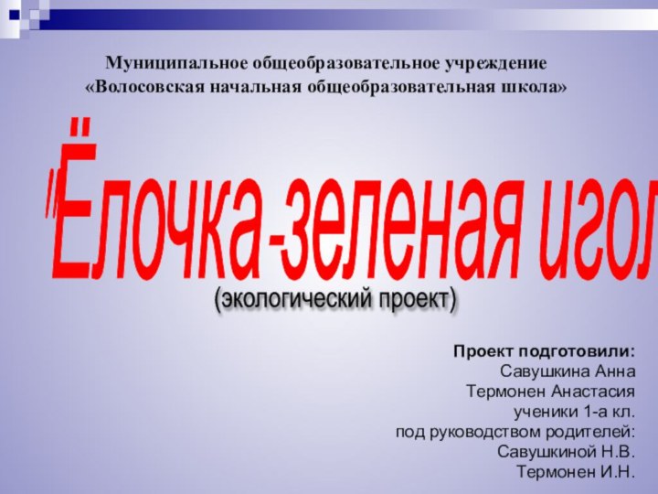 Муниципальное общеобразовательное учреждение  «Волосовская начальная общеобразовательная школа»Проект подготовили:Савушкина АннаТермонен Анастасияученики 1-а