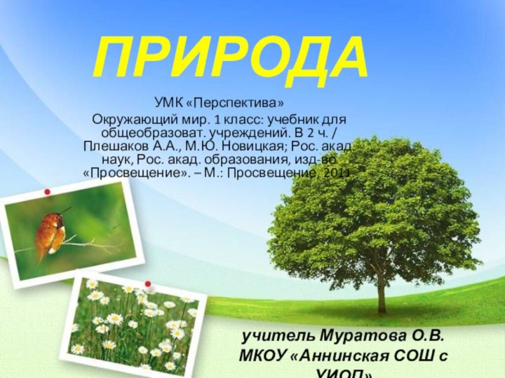 ПРИРОДАУМК «Перспектива»Окружающий мир. 1 класс: учебник для общеобразоват. учреждений. В 2 ч.