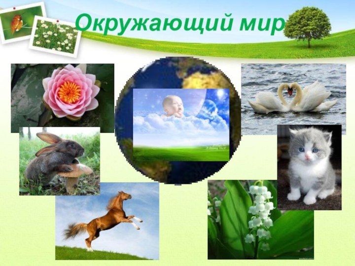 Окружающий мир