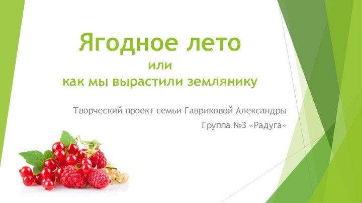 Ягодное лето или как мы вырастили землянику Творческий проект семьи Гавриковой АлександрыГруппа №3 «Радуга»
