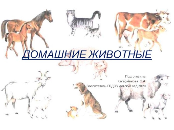ДОМАШНИЕ ЖИВОТНЫЕПодготовила:Кагарманова О.А.Воспитатель ГБДОУ детский сад №29.