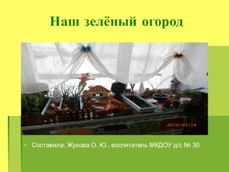 Огород на окне презентация к уроку по окружающему миру (старшая группа)