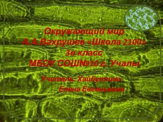 Презентация к уроку Клетка - маленькая лаборатория презентация к уроку по окружающему миру (3 класс) по теме