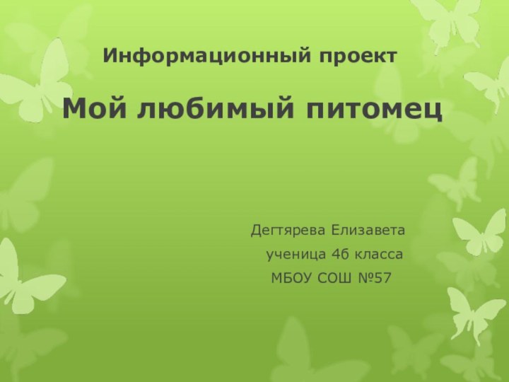 Информационный проект  Мой любимый питомец