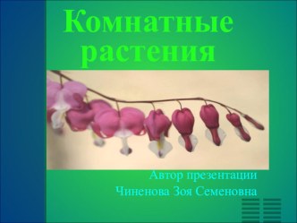 Комнатные растения план-конспект урока по окружающему миру (3 класс) по теме