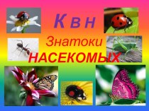 Презентация КВН Знатоки насекомых проект