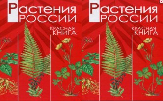 Презентация Красная книга. Цветы. презентация к занятию по окружающему миру (старшая группа)