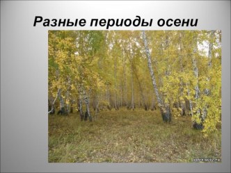 Мои разработки план-конспект занятия (подготовительная группа) по теме