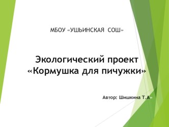 Экологический проект Кормушка для пичужки презентация