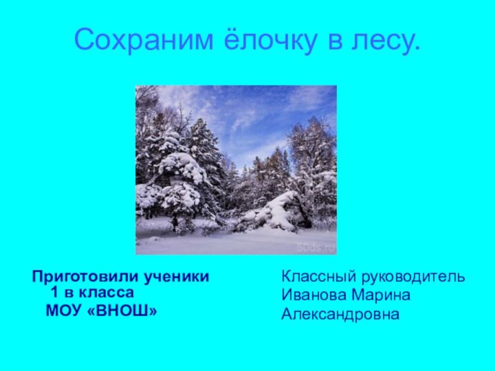 Сохраним ёлочку в лесу.Классный руководительИванова МаринаАлександровнаПриготовили ученики