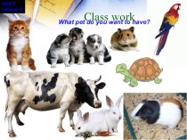 My pets презентация к уроку по иностранному языку (3 класс)