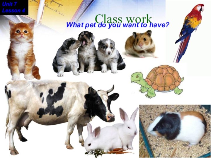 Class work What pet do you want to have?Unit 7Lesson 4