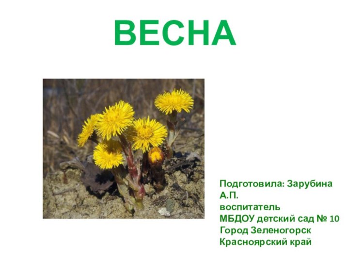 Подготовила: Зарубина А.П.воспитательМБДОУ детский сад № 10Город ЗеленогорскКрасноярский крайВЕСНА