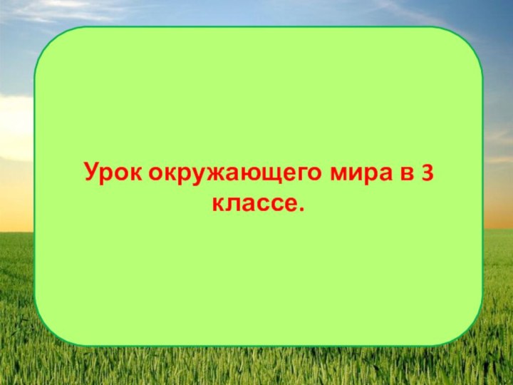 Урок окружающего мира в 3 классе.